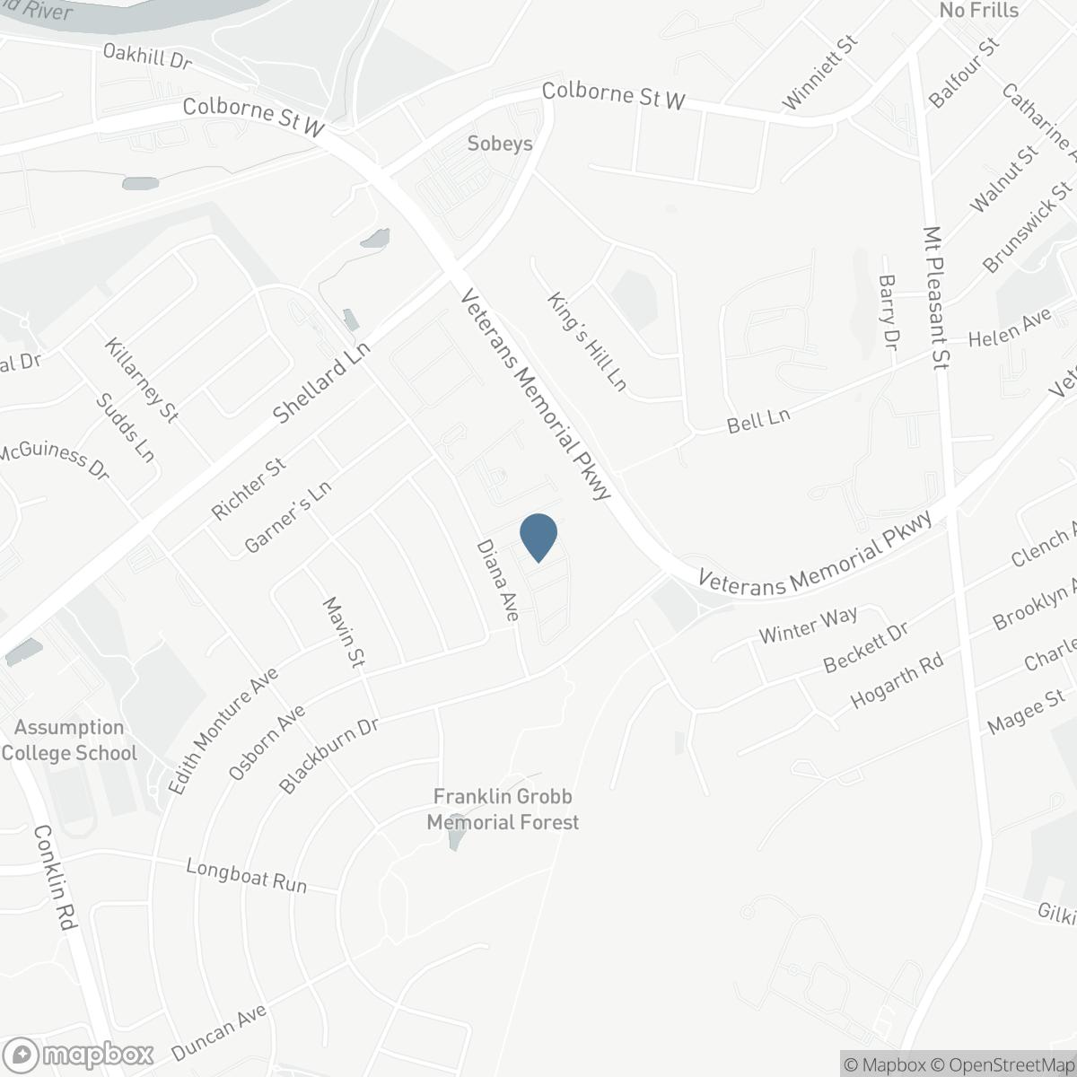 77 DIANA Avenue Unit# 132, Brantford, Ontario N3T 0G7